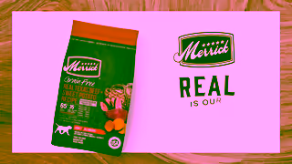 Merrick Pet Care Real is Our Recipe Ad Commercial Brand Imagery Photoshoot 2