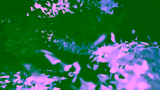 HUBLOT HUBLOT X NOVAK DJOKOVIC Ad Commercial Brand Imagery Photoshoot 1