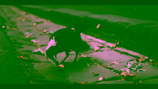 AAMI When the lucky country isnt so lucky lucky youre with AAMI Ad Commercial Brand Imagery Photoshoot 1