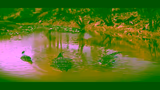 Cadbury Old Gold Crocs 30 OLV Ad Commercial Brand Imagery Photoshoot 1