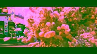 Disney Zootopia 2 Fugitives Ad Commercial Brand Imagery Photoshoot 0