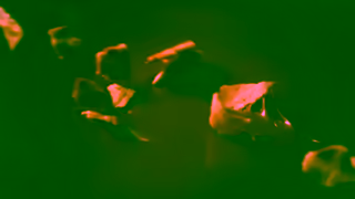 Ghirardelli Milk Chocolate Caramel Waffle Cone SQUARES Ghirardelli Chocolate Company Ad Commercial Brand Imagery Photoshoot 1