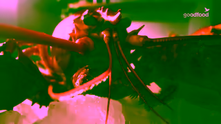 GoodFood Goodfood Chef Laurent Dagenais Ad Commercial Brand Imagery Photoshoot 1