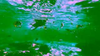 Tahiti Tourism Feel What We Feel Here in The Islands of Tahiti 30 Ad Commercial Brand Imagery Photoshoot 1