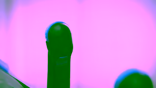 Horizon Fitness 70 AT Studio Series Treadmill Ad Commercial Brand Imagery Photoshoot 2