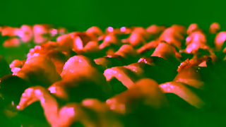 Jersey Mike's Subs Bacon 15s Ad Commercial Brand Imagery Photoshoot 2