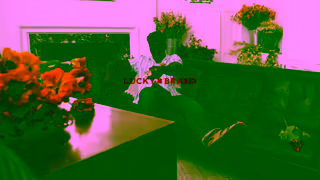 Lucky Brand Lucky Brand Spring 2024 Ad Commercial Brand Imagery Photoshoot 0