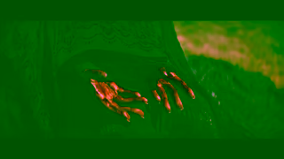 Universal Pictures The Woman In The Yard Only In Theaters Friday Ad Commercial Brand Imagery Photoshoot 2