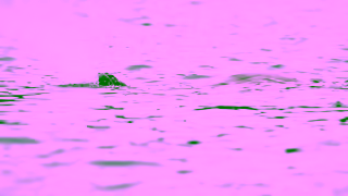 Aurora Expeditions Aurora Expeditions Arctic Beyond 2024 Ad Commercial Brand Imagery Photoshoot 2