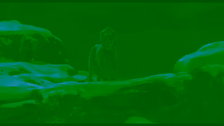 Disney Mufasa The Lion King Only In Theatres December 20 Tickets Available Now Ad Commercial Brand Imagery Photoshoot 0