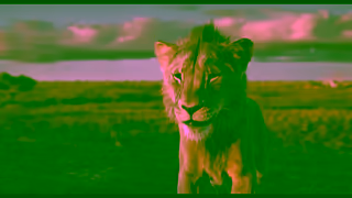 Disney Mufasa The Lion King Only In Theatres December 20 Tickets Available Now Ad Commercial Brand Imagery Photoshoot 1