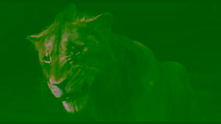 Disney Mufasa The Lion King Only In Theatres December 20 Tickets Available Now Ad Commercial Brand Imagery Photoshoot 2