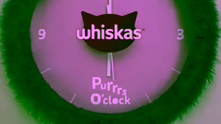 Whiskas WHISKAS Purrrs Oclock What it Takes 6 Ad Commercial Brand Imagery Photoshoot 1