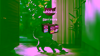 Whiskas WHISKAS Purrrs Oclock What it Takes 6 Ad Commercial Brand Imagery Photoshoot 2