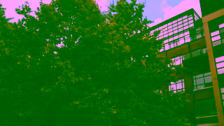 KIA The Kia Niro EV Test drive the Niro EV today and see why Canada counts on Kia Ad Commercial Brand Imagery Photoshoot 2