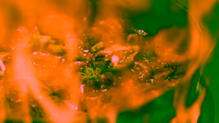 Visit Jamaica JAMAICAIts Luxurious and Adventurous All At Once Ad Commercial Brand Imagery Photoshoot 1