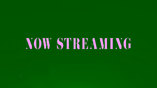 Disney Taylor Swift The Eras Tour Taylors Version Now streaming on Disney Ad Commercial Brand Imagery Photoshoot 0