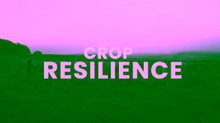 CropBioLife CropBioLife Promotional Video GROWERS Ad Commercial Brand Imagery Photoshoot 0