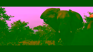 Abercrombie & Kent The most thrilling safaris in Africa Ad Commercial Brand Imagery Photoshoot 1