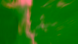 Visit Puerto Vallarta Puerto Vallarta Pacific Wild Real Better Unfiltered Ad Commercial Brand Imagery Photoshoot 2