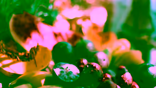 Visit Jamaica Its A Vibe and a Vacation All At OnceJAMAICA Ad Commercial Brand Imagery Photoshoot 1