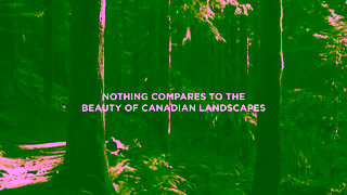 SICO Paint Video Ad Ad Commercial Brand Imagery Photoshoot 0