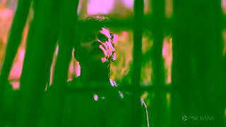 PNC BANK Backyard Oil 15 Ad Commercial Brand Imagery Photoshoot 0