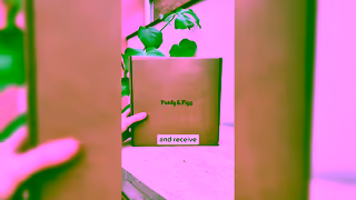 Purdy & Figg June25 EVG LN JP Sanmare TOFU UGC Educational A v1 16x9 Orig Ad Commercial Brand Imagery Photoshoot 2