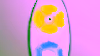 SOOCAS SoocasCG16X9 Ad Commercial Brand Imagery Photoshoot 0