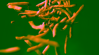 New York Fries NYFs Pulled Pork Poutine IS BACK Ad Commercial Brand Imagery Photoshoot 0