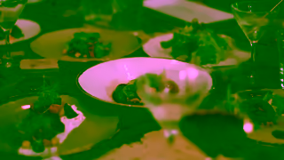 Explore Charleston Welcome to the Charleston Area Ad Commercial Brand Imagery Photoshoot 1