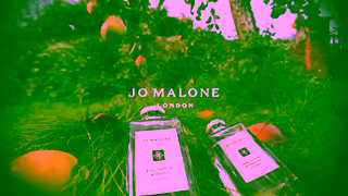 Jo Malone London English Pear Jo Malone London Ad Commercial Brand Imagery Photoshoot 2