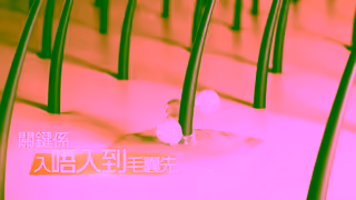 VITA GREEN Vita Hair Ad Commercial Brand Imagery Photoshoot 0