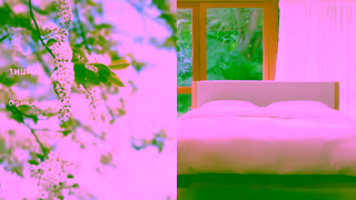 THUMA The Classic Bed by Thuma Ad Commercial Brand Imagery Photoshoot 0