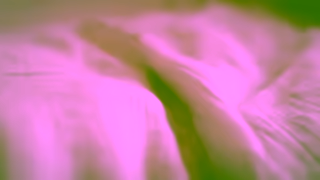 Silk and Snow Silk Snow Thoughtfully Made Bedding Canada Ad Commercial Brand Imagery Photoshoot 1