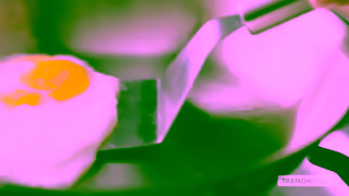 TRAMONTINA Tramontina TriPly Clad Frying Eggs Ad Commercial Brand Imagery Photoshoot 1