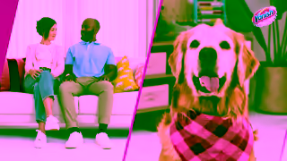 Vanish Vanish Oxi Action Gold Carpet Upholstery Stain Remover Spray Suitable For Homes With Pets Ad Commercial Brand Imagery Photoshoot 2