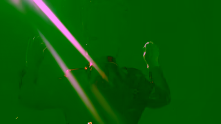 Adidas Honoring Black Excellence Banding Together Ad Commercial Brand Imagery Photoshoot 2