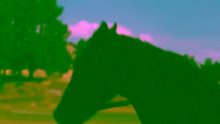 FREE PEOPLE Free People x Yellowstone Collection Ad Commercial Brand Imagery Photoshoot 0