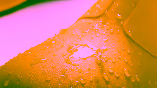 Dr Martens The 1460 Rain boot has landed Ad Commercial Brand Imagery Photoshoot 1