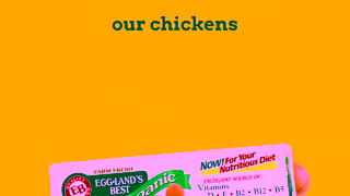 Eggland's Best Egglands Best Organic Eggs Americas 1 Organic Egg Ad Commercial Brand Imagery Photoshoot 0