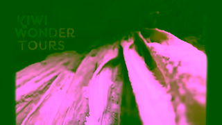 Kiwi Wonder Tours Kiwi Wonder Tours Ruakuri Cave and Hobbiton 15 Seconds Ad Commercial Brand Imagery Photoshoot 0