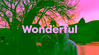 Kiwi Wonder Tours Kiwi Wonder Tours Ruakuri Cave and Hobbiton 15 Seconds Ad Commercial Brand Imagery Photoshoot 2