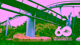 SeaWorld San Antonio SWC2460ReasonsToVisitSummerSaleMULTISvUpTo65PcExtendedYT15ENG Ad Commercial Brand Imagery Photoshoot 0