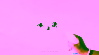 Zevo Insect Zevo Sprays Kill to Clean in Seconds Ad Commercial Brand Imagery Photoshoot 1