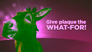 Listerine Listerine Donkey Youtube 6 second Ad Commercial Brand Imagery Photoshoot 1