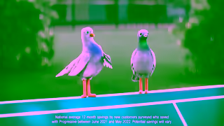 Progressive Insurance Birds Influencer 06 Ad Commercial Brand Imagery Photoshoot 1