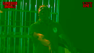 Elevation Pictures DANGEROUS ANIMALS In theatres June 6 Ad Commercial Brand Imagery Photoshoot 2