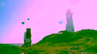 Cape Breton Island Bountiful Seafood and Fresh Lobster Ad Commercial Brand Imagery Photoshoot 2