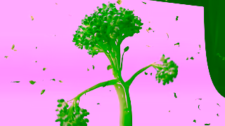 Tenderstem Broccoli Tenderstem Broccoli but better Ad Commercial Brand Imagery Photoshoot 1